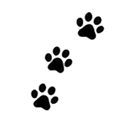 018