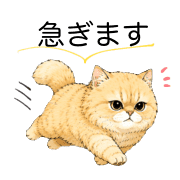 007