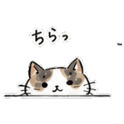 004