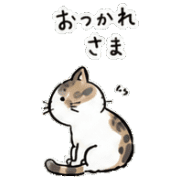 006