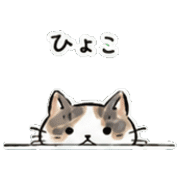 016