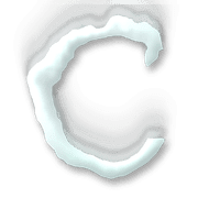 164