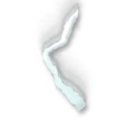 008