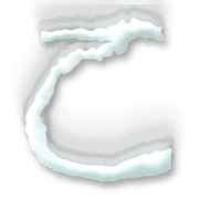 010