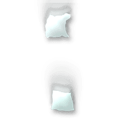 244