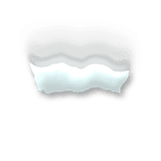 251