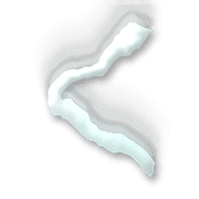 008