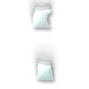 244