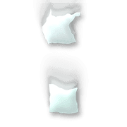 244