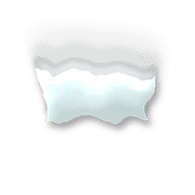 251
