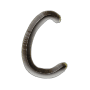 164