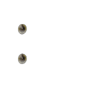 244