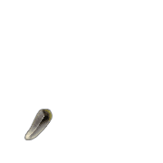 245