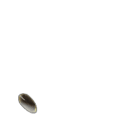 256