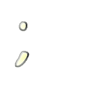 082
