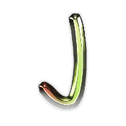 010