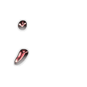 082