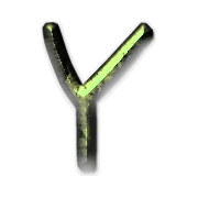 025