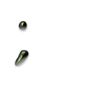 082