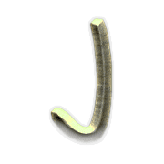 010