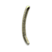 073