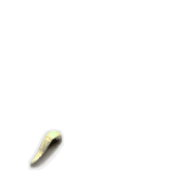 084