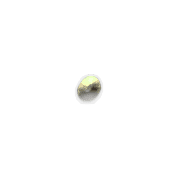 092