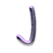 010