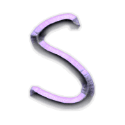 019