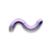 063