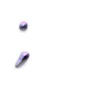 082