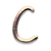 003