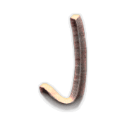 010