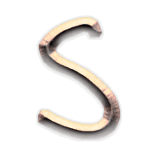 019