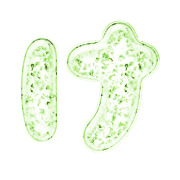 009