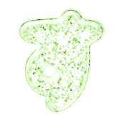 013