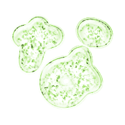 021