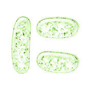 022