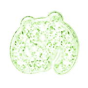 034