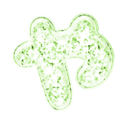 036
