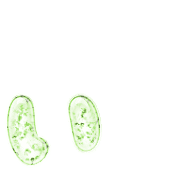 048