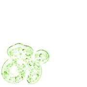 051