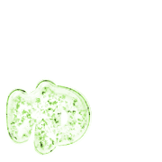 054