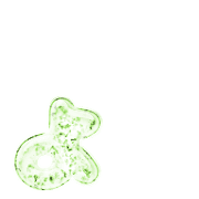 055