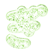057