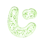 062