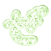 064