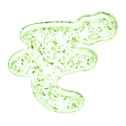 065