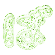 071
