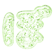 075